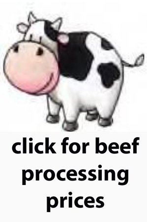 beef price